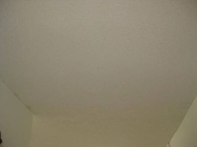 Popcorn Ceiling